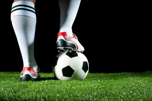 Scommesse online