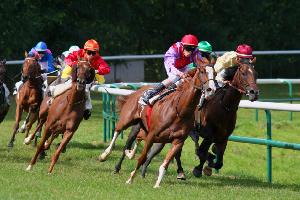 scommesse ippiche